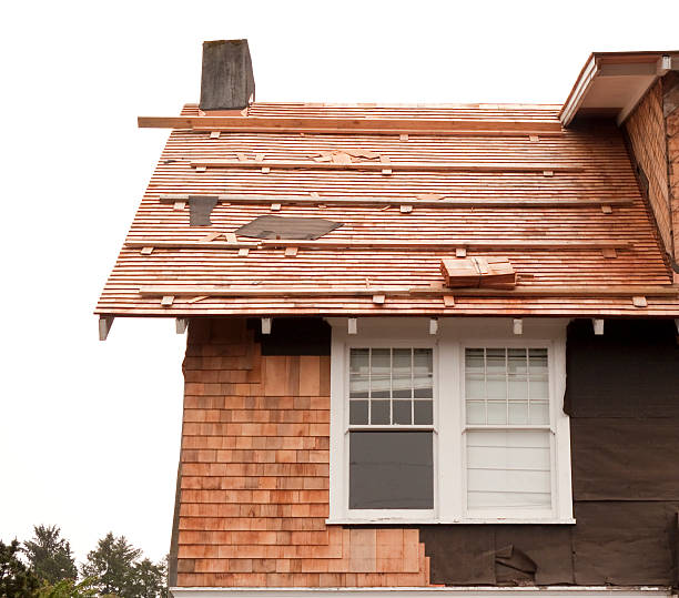 Best Insulated Siding Installation  in , MI